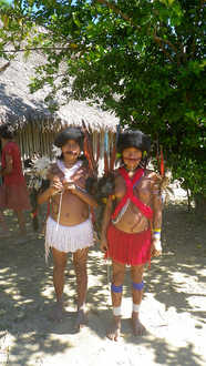 domorodci